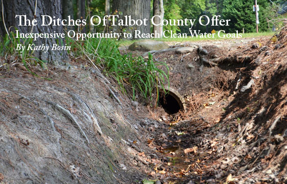 The Ditches of Talbot County - An Inexpensive Opportunity To Reach ...