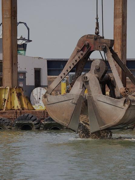 Oyster Restoration At Harris Creek Shows Promise - Talbot Spy