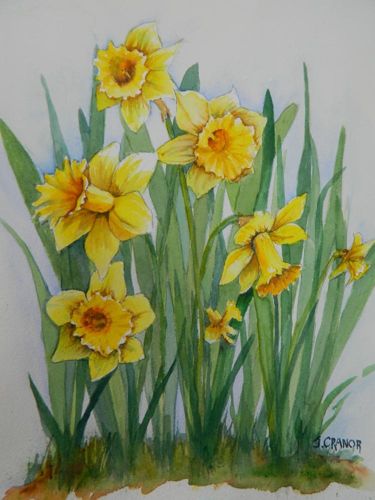 St. Michaels Art League Celebrates Daffodil Fest! - Talbot Spy