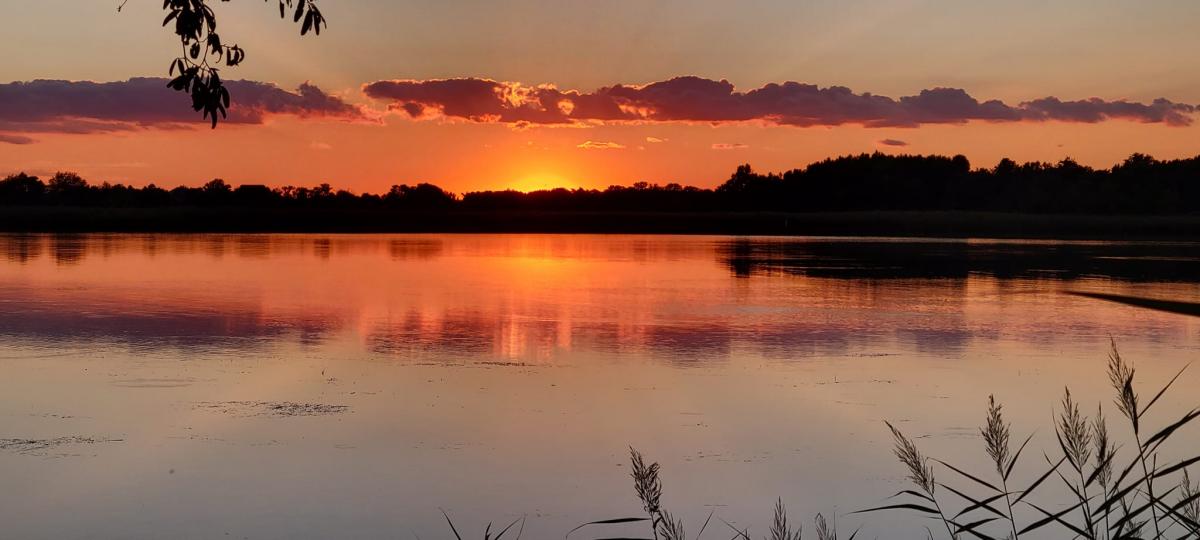 Chesapeake Lens Swan Creek by Max Ruehrmund Talbot Spy