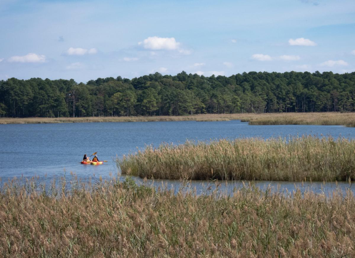 Chesapeake Bay Environmental Center Offering Kayak Rentals Talbot Spy 8160