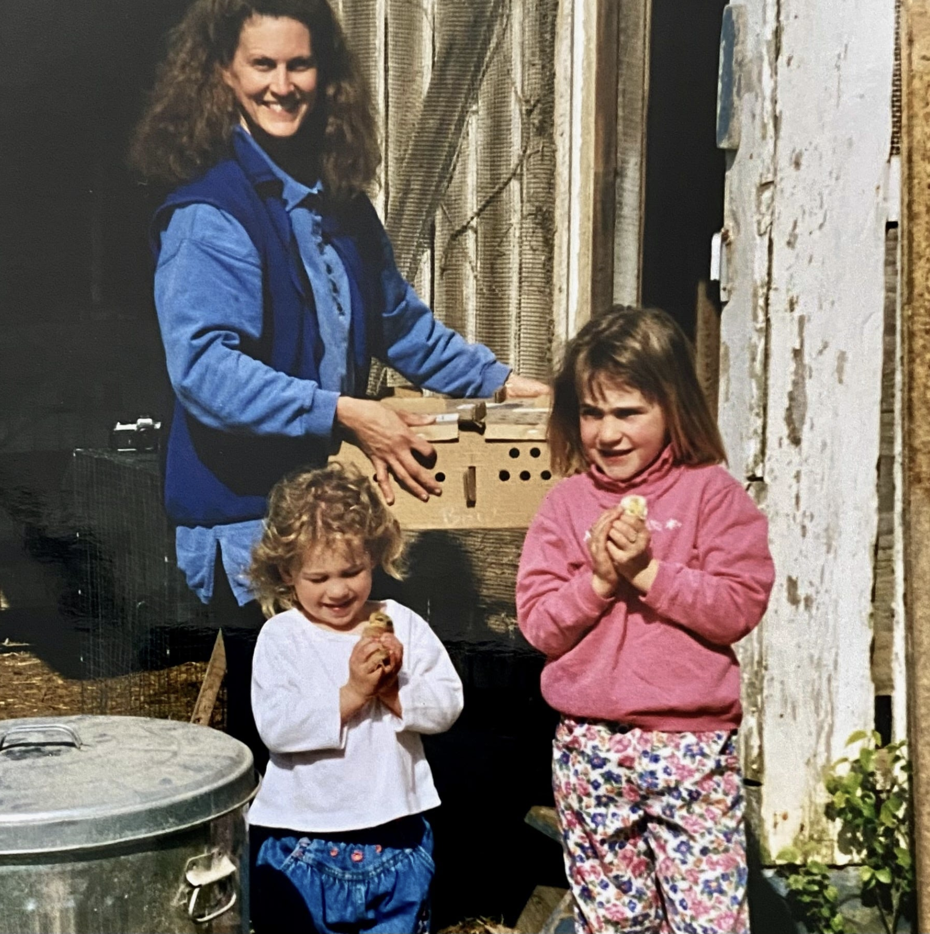 Author stands holding a shipping box, her two daughters in front holding day-old chicks