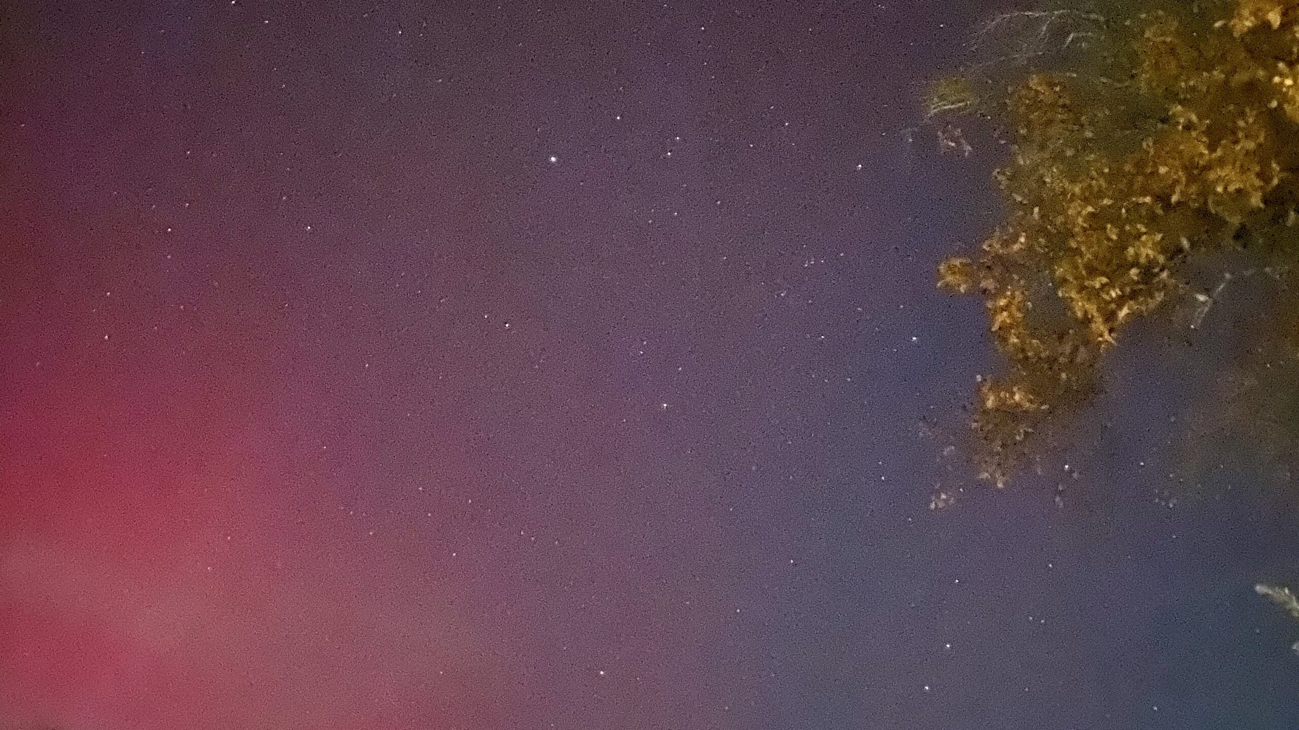 The night sky with stars and the pink glow of the Northern Lights