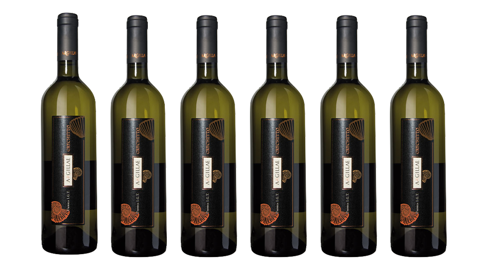 Wine of the Week: Umbria IGT Grechetto from Argillae Winery