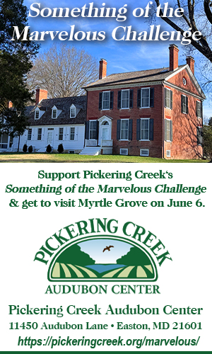 Pickering Creek something marvelous copy