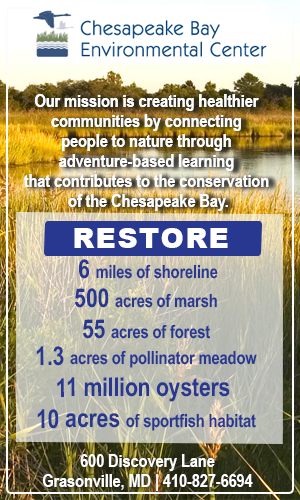 CBEC format 2 restore copy.jpg