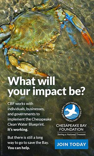 Chesapeake Bay Fund 2.jpg