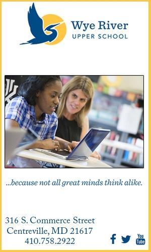 Wye School 300 x 500.jpg